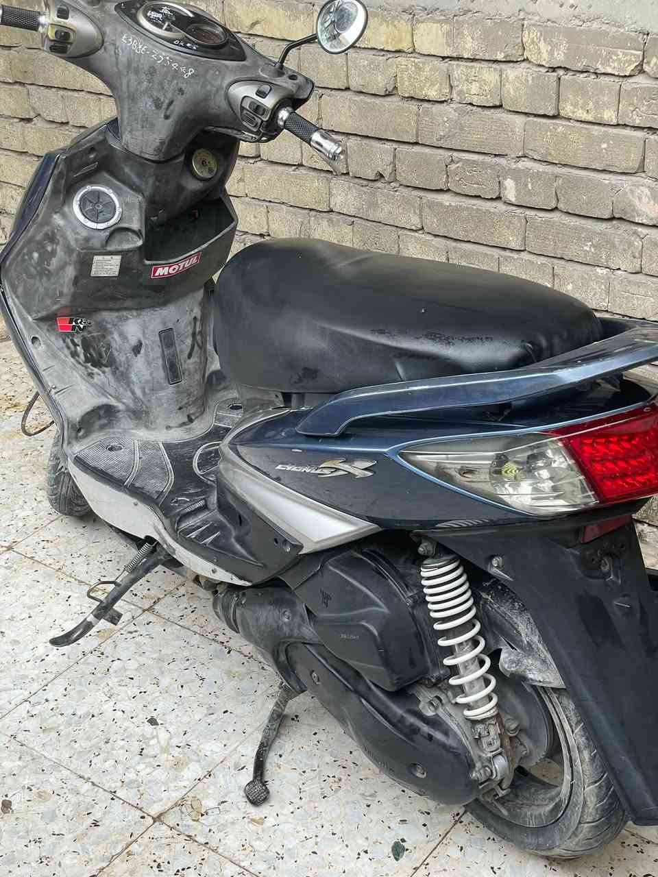 سكنس فحل • نضيفه • مامفتوحه