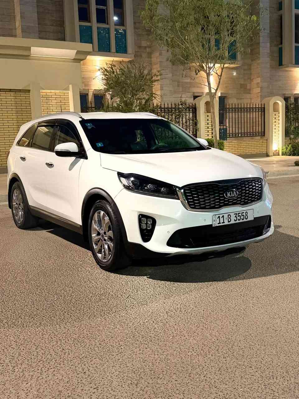 ٢٠١٩ • ٦ سلندر • ٧ راكب