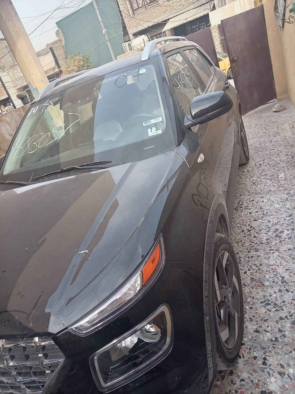 فينو • ٢٠٢٥ • الدورة