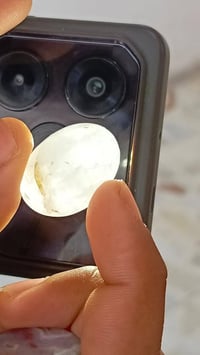للبيع • واتساب