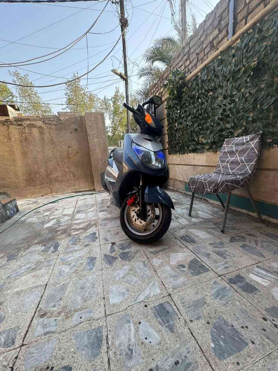 سلام عليكم دراجه سكنس فحل نوزل كفاله عامه صار 4لشهر لو 6 اشهر انزلها سعر 850 عنوان بغداد شعب رقم *********** تفاصيل دراجه بلفديو بلخير
