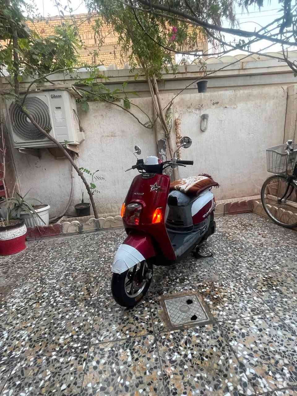 بوليس البيع كفاله عمه سعره 900 وبيه مجال وهاذا رقمي ***********
