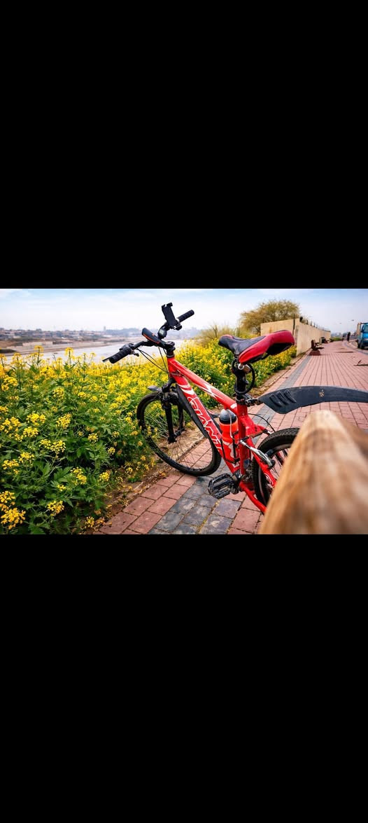 🚴‍♂️🔥 إعادة نشر 🔥 للبيع بايسكل Giant حجم 26 🚴‍♂️

⚠️ إعادة نشر بسبب الوعود الكاذبة، لذلك البيع للجاد فقط 🙏

• 🚲 الماركة: Giant
• 📏 الحجم: 26
• 🛞 التايرات والجوبات مبدلات قبل شهر وجدد ✨
• ⚙️ بي كيرات كدام وكير ورة
• 🛑 بي بريك كدام وبريك ورة
• 💡 يجي وياه ضوء LED + هورن قابل للشحن 🔋
• ✅ البايسكل كامل وما بي أي نقص، وكلشي بي شغال
• 😍 نظيف وحالته كلش حلوة وجاهز للاستخدام

💰 السعر: 135,000 دينار
🤝 بي مجال قليل للتفاوض للجاد فقط

📍 المكان: الموصل – الجانب الأيمن
🚫 ماكو توصيل، الاستلام من الموقع فقط

📩 للجادين راسلني خاص أو واتساب:
📱 ***********
