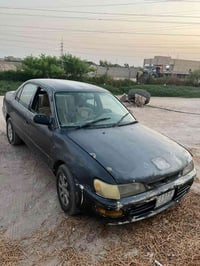 كورلا 1995 • مكفوله • بصرة