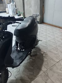 فراشه • فحل • مامفتوحه