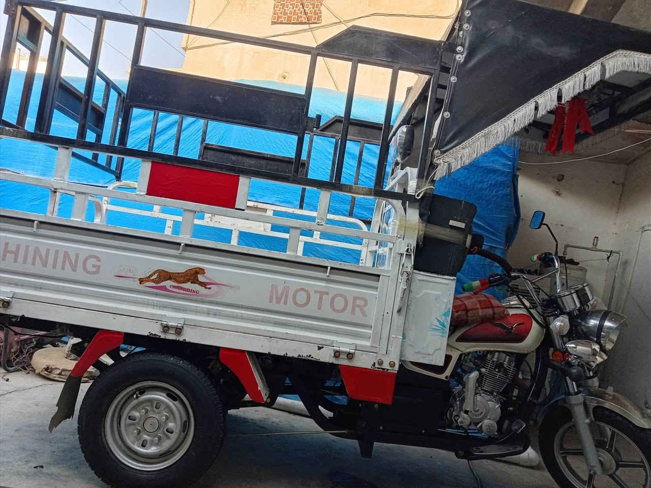 ستوتة للبيع موديل 22 فحل عالي
شيخوان سعر مليون و ٧٥٠ كركوك. ***********
