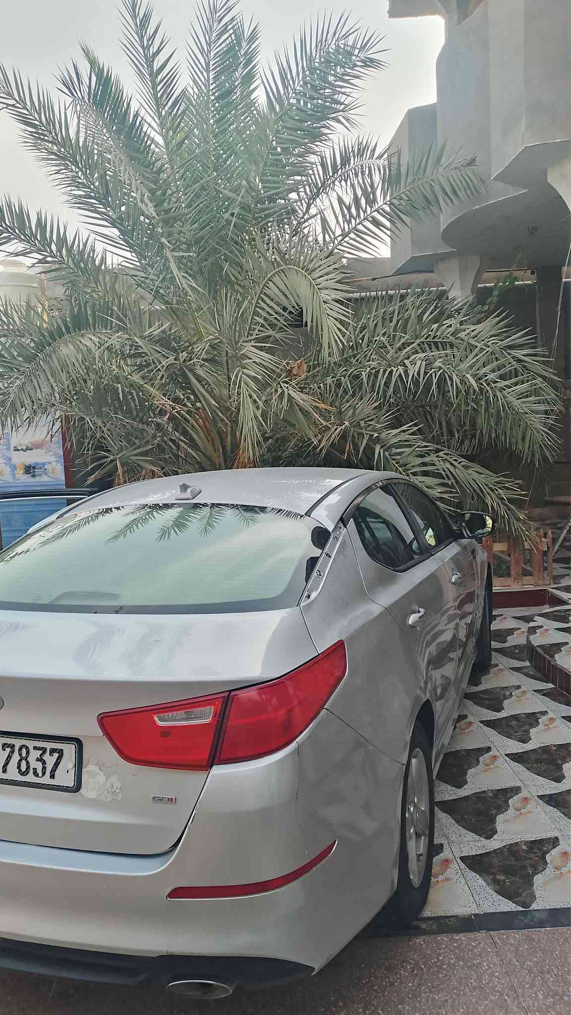 اوبتيما • ٢٠١٥ • وارد امريكي