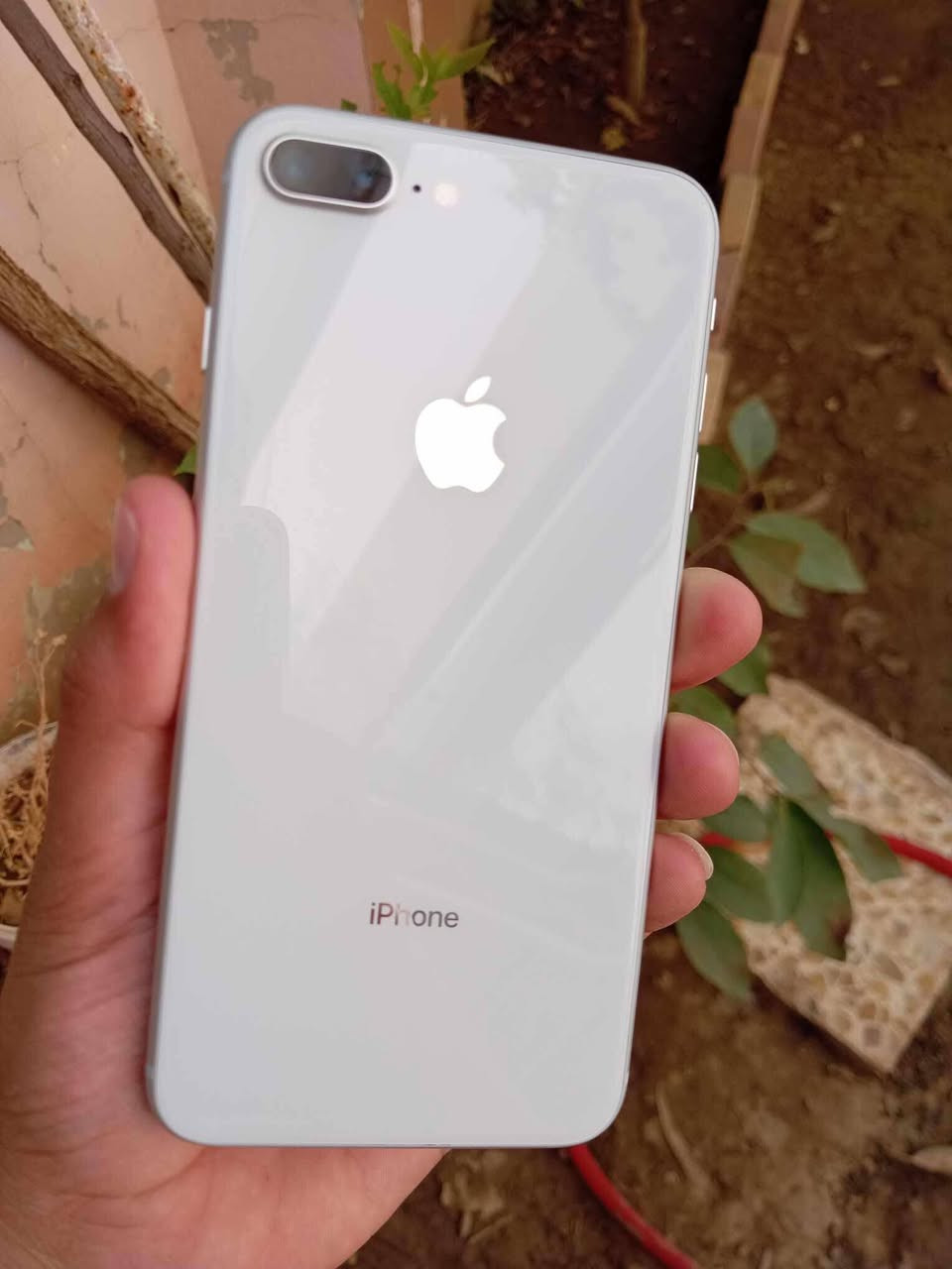 ايفون 8 بلص لوك كل عيب مابي
كله بلادي بس بطارية مبدل 64 كيكا 
السعر 110 وبي مجال للشراي 
*********** بي واتساب
