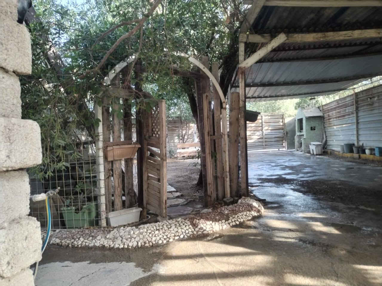 بيت ابو دشير • بالقسط • تشجير ٤٠٠م