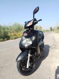 سكنس فحل • نوزل • مجال