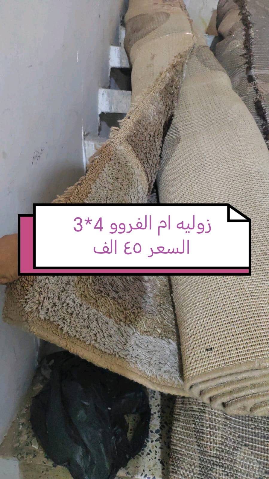 زوالي عدد ٢ امهات الفرووو