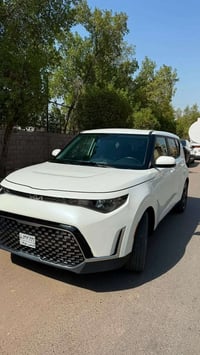 سول • ٢٠٢٥ • وارد امريكي
