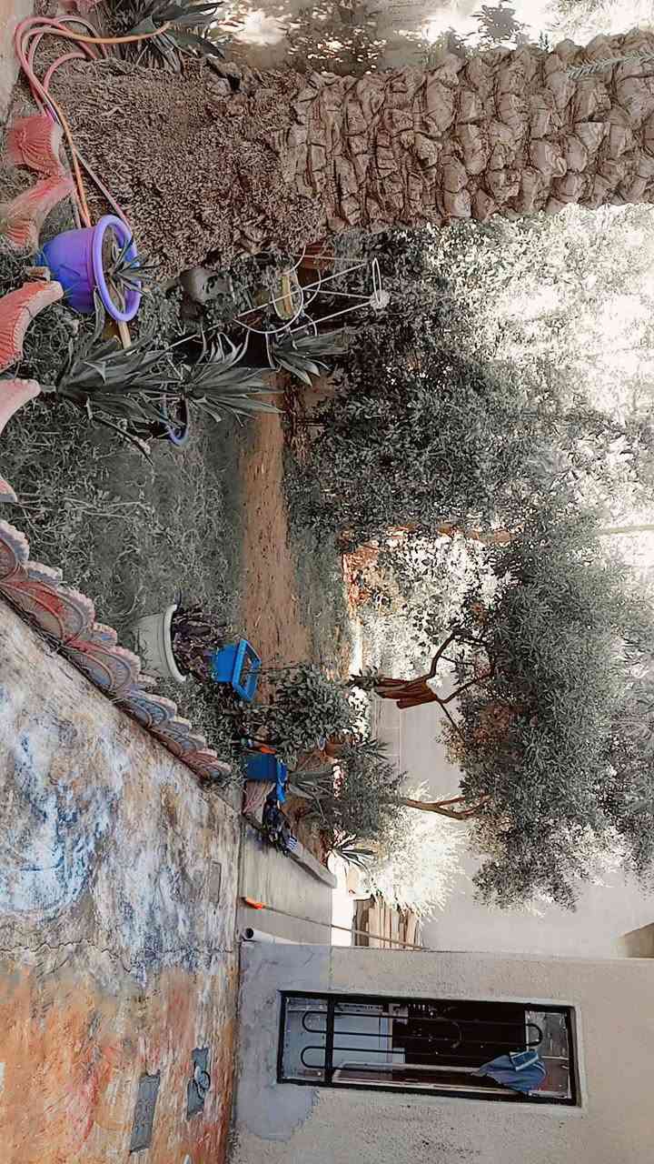 السلام عليكم البيت اللبيع طابو صرف مساحه 300 طابقين 4عرف نوم مع مطبخ وصحيات فوق وطابق الاول يحتوي على ستقبال ومدخل عرف نوم واحده وهول حمام ومطبخ رضي *********** سعر 225مليون وبي مجال قابل
