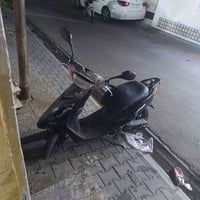 عصفورية • معدل • نواقص بسيطة