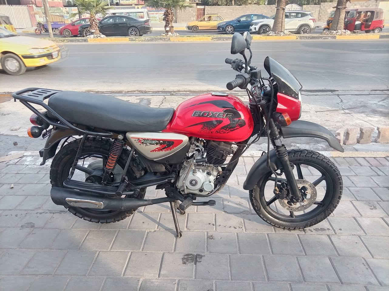 بوكسر • ٢٠٢٣ • بدون أوراق