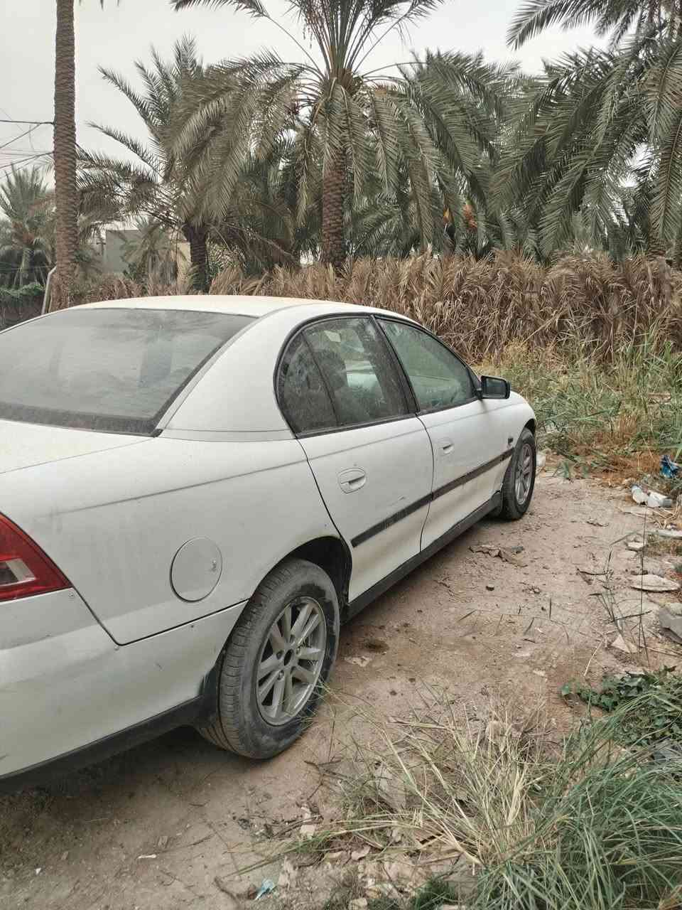 لومينا • مزاد • ترقيم بغداد