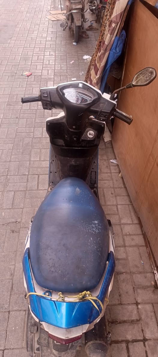 هاوجي • نضيف • فحص