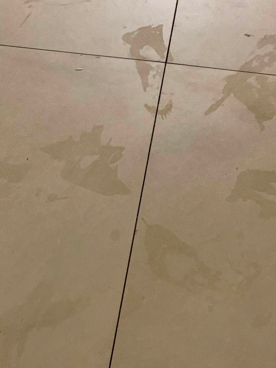 سيراميك جدار • بورسلين ارضية • شغل درجة أولى