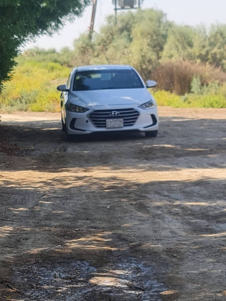 النترا • ٢٠١٧ • ١٤٤ ألف