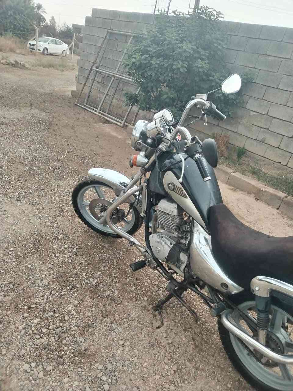 هارلي • نضيف • سلف