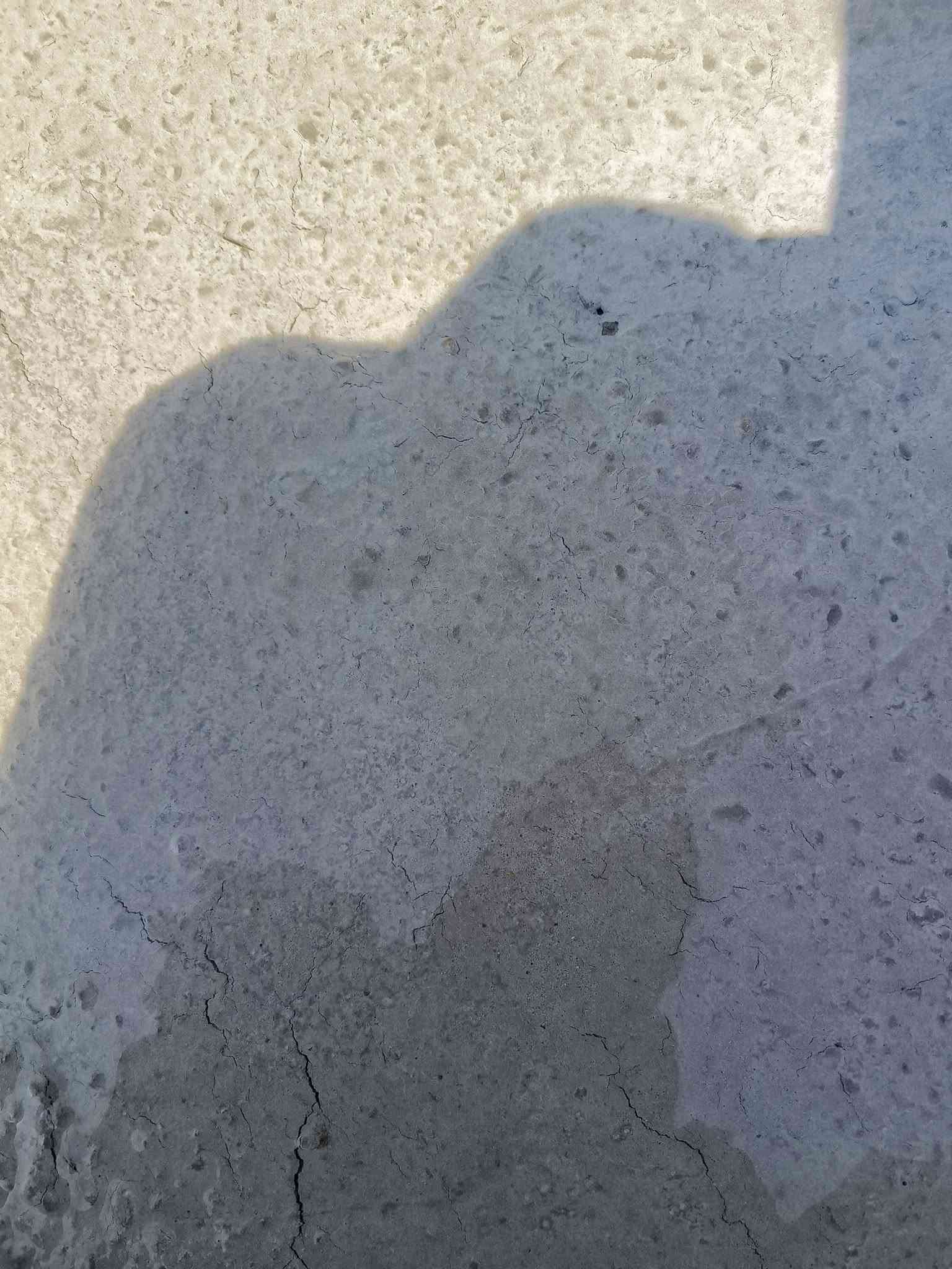 شفل مشگان امريكي مكينه بيركز بلادي گير تركم محرك اكسلات مكفول كفاله عامه ارقام وسنوية بغداد ***********
