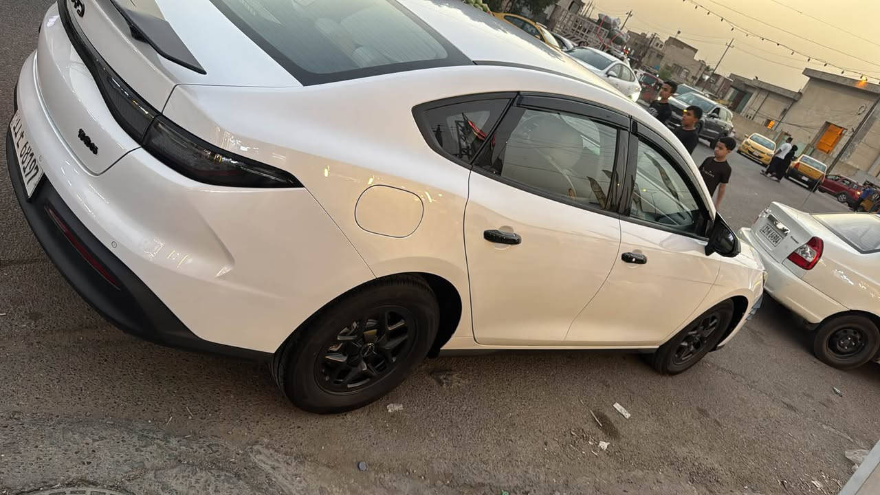سيل 5 • ٢٠٢٥ • رقم بغداد