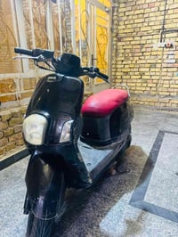 ماكس بوليس • نوزل • ٢٠٠٨