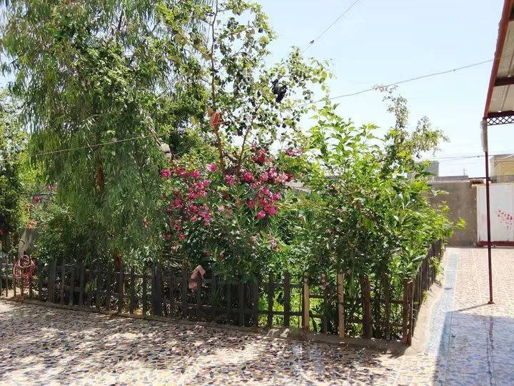 سلام عليكم بيت بحي المنتضر بشارع بيت حامد اليساس بيت مساحته 500  غرفتين خمسه في سبعه دوانيه وصله مطبخ سبعه متر  صيحات خارجيه ودخليه بيت جاهز ***********
