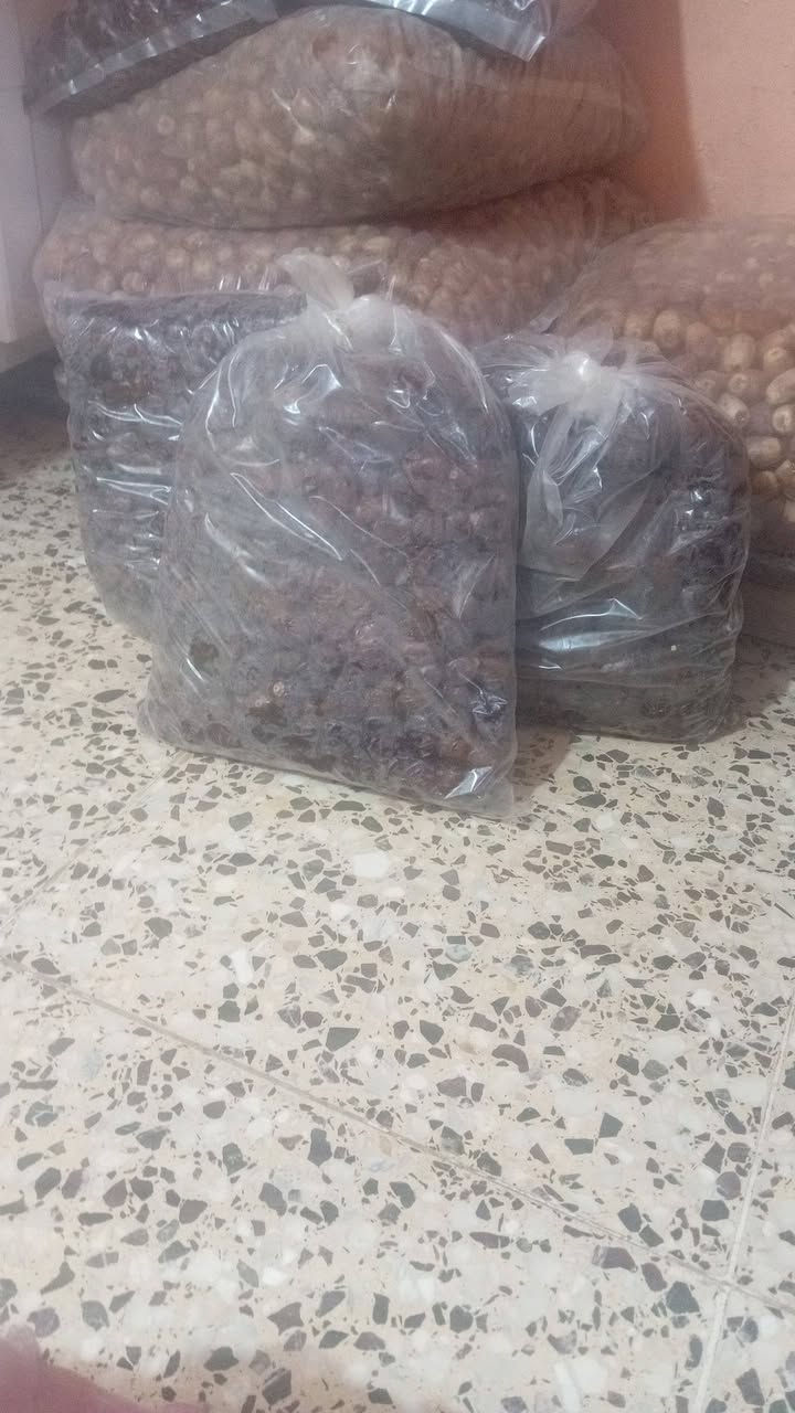 دبس • تمر خسته • كيس ٥ كيلو