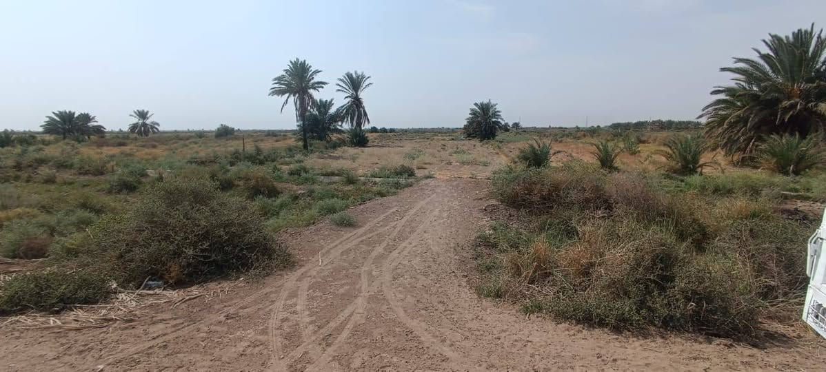 ال عواد الرعده • ١٦٠٠م • زراعيه