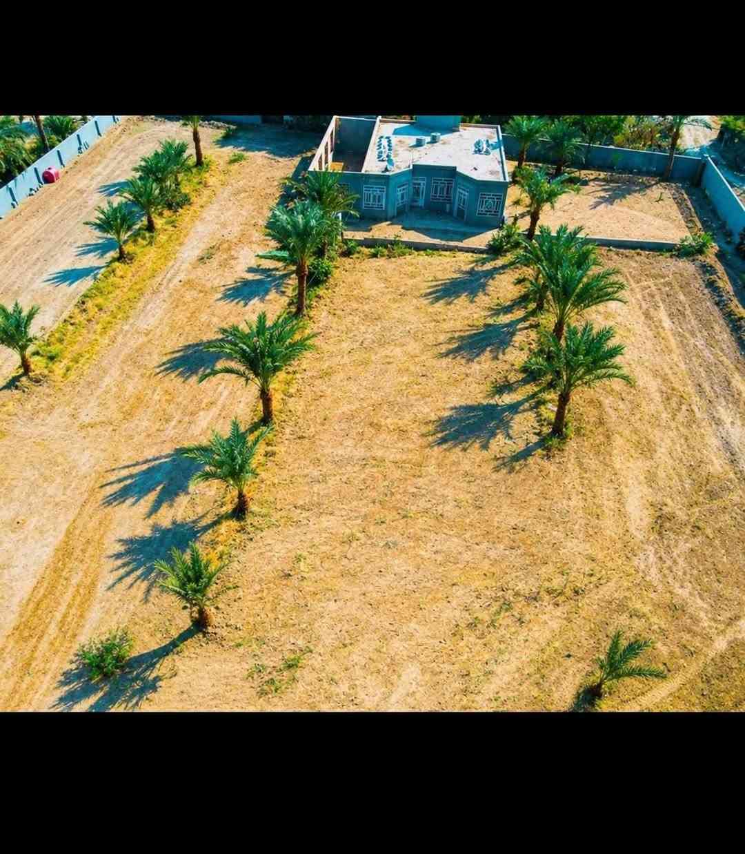 دونمين • بيت ٣٥٠م • الحولي