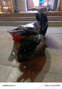 عصفورية • ٦٠ • سلف عطلان