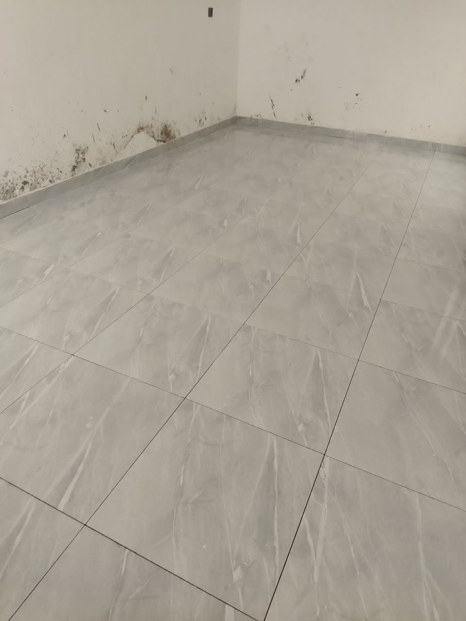 خلفه مصري لتركيب جميع انواع السيراميك ارضي جداري كاشي مرمر بايات شغل لليزر درجه اولي شغل بغداد فقط ***********
بيه واتساب
