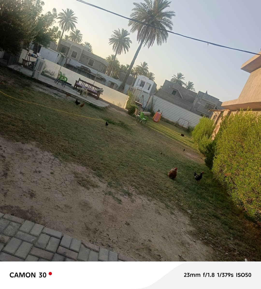 دار للبيع  مساحه ١٣٠٠ متر سند ٢٥ 
الدورة هوررجب   ركن ع شارعين 
 خلف افران الزيتون
تحتوي ع بيت مساحه ٣٠٠ 
طابق ونص   ٤ غرف نوم 
وصاله ومطبخ 
واستقبال 
وصحيات 
وبي مشتمل ١٥٠ متر   مسكف سندويج 
 وبي اساس شريطي ٢٥٠ متر 
الاستفسار ***********
***********
او مراجعه مكتب ليث الجبوري للعقار
