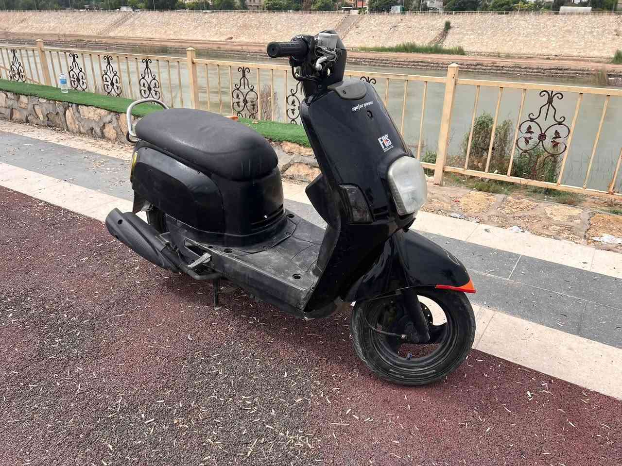 ماكس بوليس • نوزل • ٢٠١٠