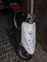 ستين 60 • عصفوريه • شغاله