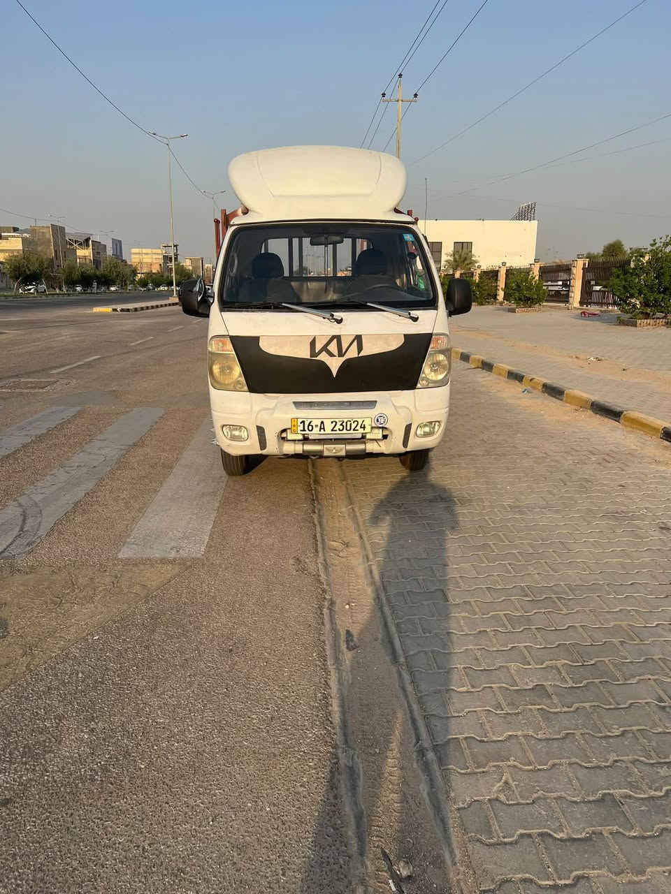 فحل حمل • ٢٠١١ • مكفولة