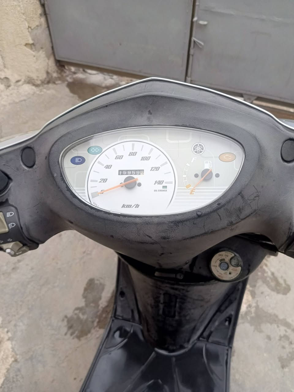بريز بغبغاء • رنبه • كفاله عامه