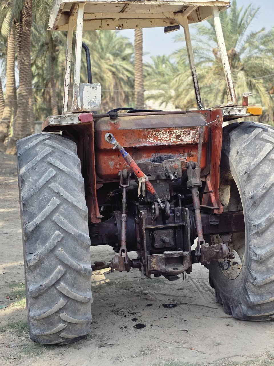فيات ٧٨٠ • موديل ٨٢ • بابل
