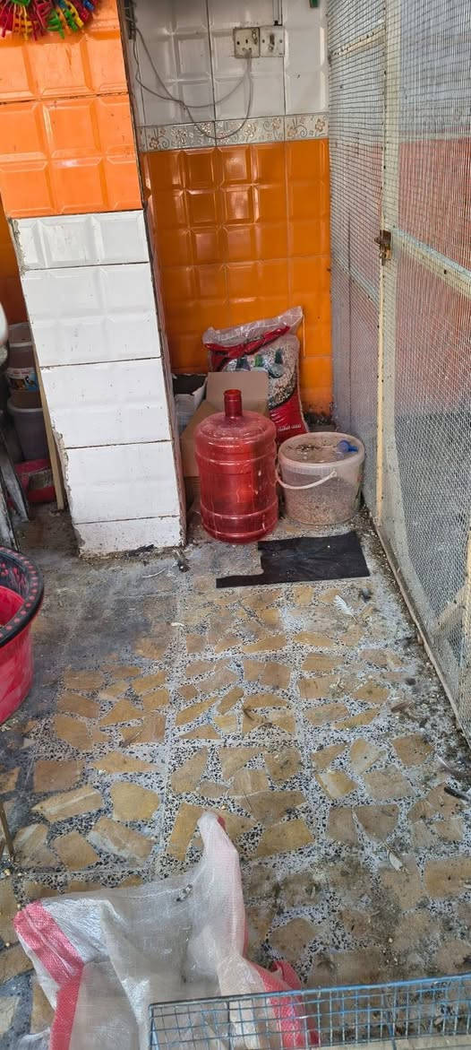غراض مال جنباظ البيع تفاصيل بل فيديو ***********وتساب
