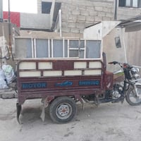 ستوته • ٢٠١٧ • شرط
