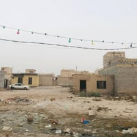 قطعة زراعية • ١٥٠م • خلف مدرسة زنوبيا