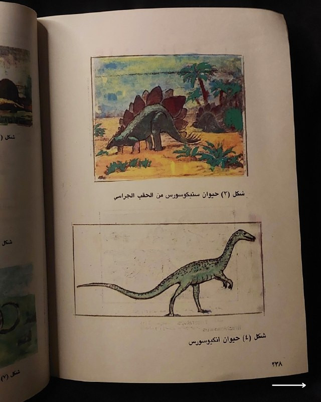 📚
تحفة علمية وجيولوجية نادرة من الإصدارات العراقية
🏛️
!
كتاب «الجيولوجيا للجميع»
✍️
المؤلف: عادل حاتم جوزي
🏛️
مكان النشر: بغداد (رقم الإيداع في المكتبة الوطنية - بغداد 1223 لسنة 1980)
📅
سنة الطباعة: 1980
✨
عن الكتاب:
مرجع تبسيطي وأكاديمي شائق في علوم الأرض والجيولوجيا والحيوانات القديمة، يقدم شرحاً تفصيلياً لطبقات الأرض، الحفريات، وتطور الكائنات الحية والديناصورات والأحافير عبر العصور الجيولوجية بأسلوب علمي مدعم بالرسوم التوضيحية واللوحات الملونة. يُعد الكتاب كنزاً حقيقياً لطلبة علوم الأرض، الأحياء، والمهتمين بالاستكشاف والكتب العلمية التراثية النادرة.
📌
حالة النسخة: أصيلة (طبعة بغداد عام 1980)، وتتميز باحتوائها على ملحق كامل من الرسوم التوضيحية واللوحات الملونة التوضيحية للأحافير والديناصورات والإنسان القديم، ومحفوظة بحالة ممتازة جداً لمقتنين الكتب التراثية.
🔷
السعر: 15 ألف دينار عراقي
📜
🚚
يتوفر توصيل لكافة المحافظات.
للإستفسار والحجز
🔻
:
البوت:
@PH_900bot
أو واتساب: ***********
