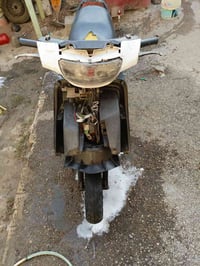 فراشه فحل • نظيفه • خرسه