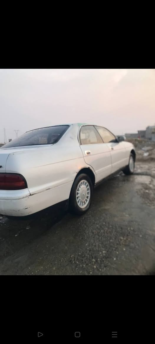 بطه • قير جديد • تبريد ثلج