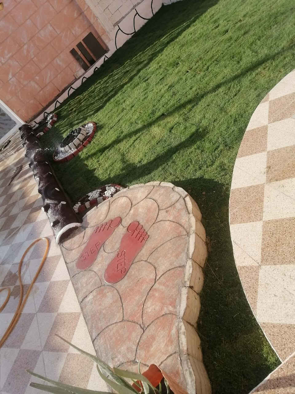 قص الثيل • تقليم الشجر • مكاين إيجار