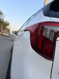 فول • بانوراما • ٢٠٢٣
