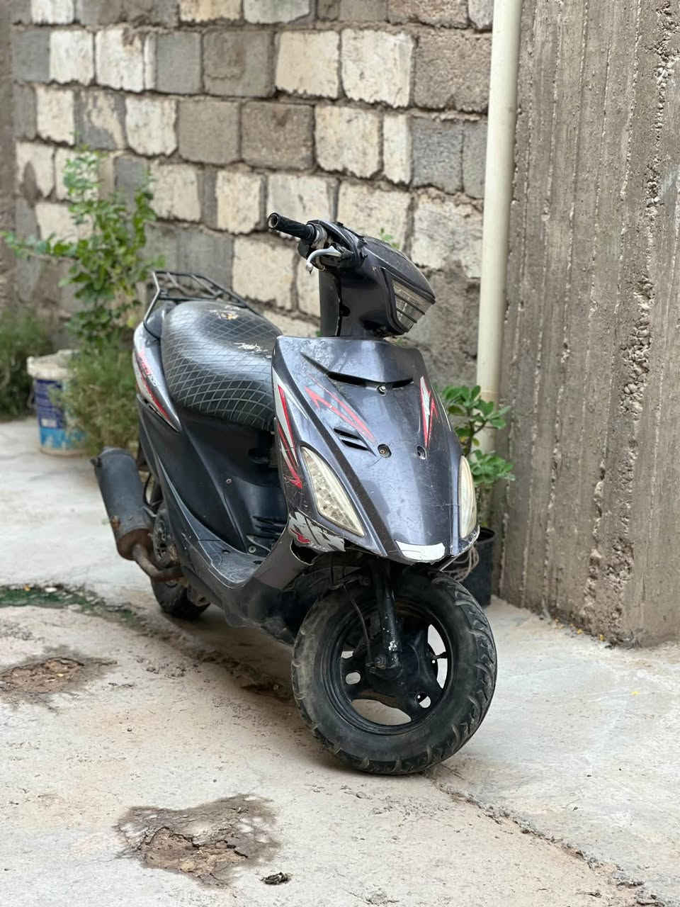 سوزوكي • كهربائيات • معدل