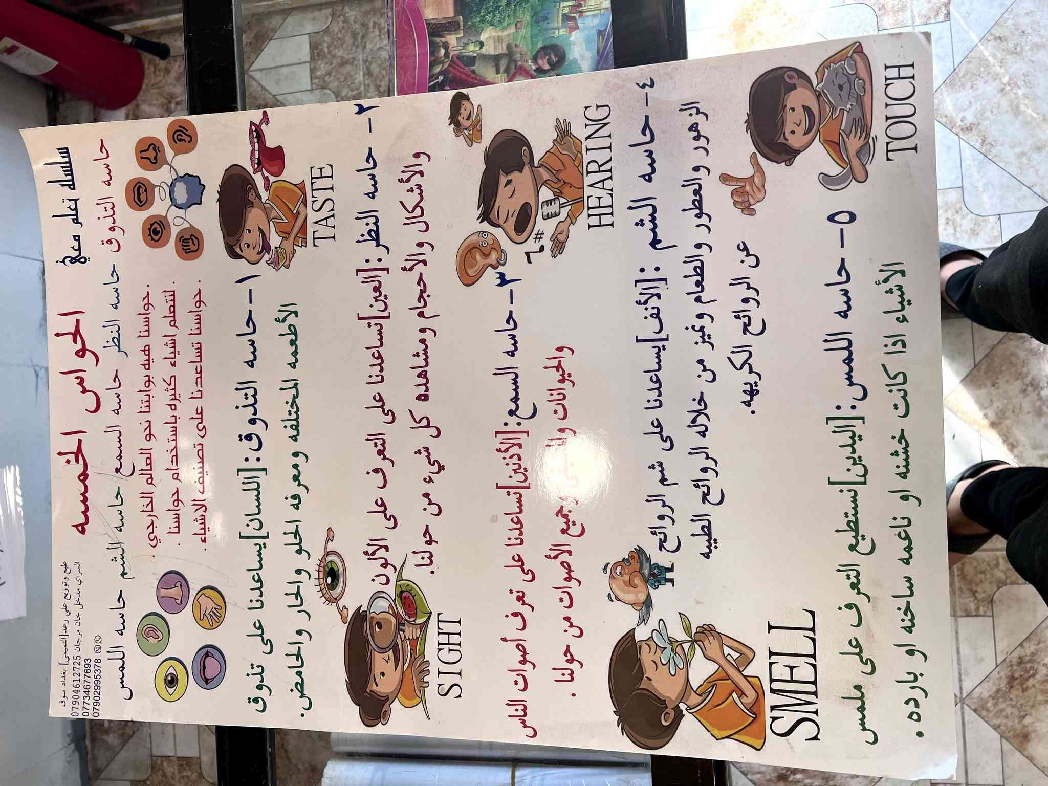 📚 ملصقات تعليمية مميزة للأطفال والطلاب 📚

متوفر لدينا تشكيلة متنوعة من الملصقات التعليمية المناسب

 لطلبة الصفوف الابتدائية من الأول إلى السادس 👨‍🏫📖:-
🔹 الصف الأول
🔹 الصف الثاني
🔹 الصف الثالث
🔹 الصف الرابع
🔹 الصف الخامس
🔹 الصف السادس
🔹 خرائط العراق 🇮🇶
🔹 جدول الضرب ✖️
🔹 الجدول الدوري للعناصر ⚗️
🔹 الأحياء 🧬
🔹 أقسام الكلام 📚
🔹 وملصقات تعليمية متنوعة

💰 سعر الملصق: 2,000 دينار فقط!

📍 مكتبة الرافدين
الأنبار – قضاء عنه – قرب مدرسة ذات الصواري

📞 ***********

📲 انستگرام| تلگرام: maktabat_alraafidayn

✨ وسيلة تعليمية مفيدة وممتعة للبيت والصف!

نص مكتوب في الصور:
- قرطاسية المصطفى
- سوق السراي
- ***********
