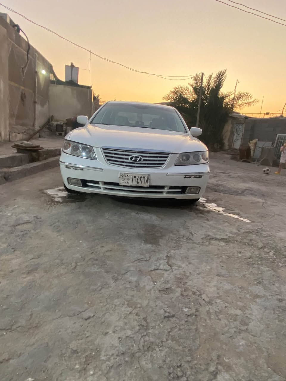 زيره • ٢٠٠٧ • ورقة